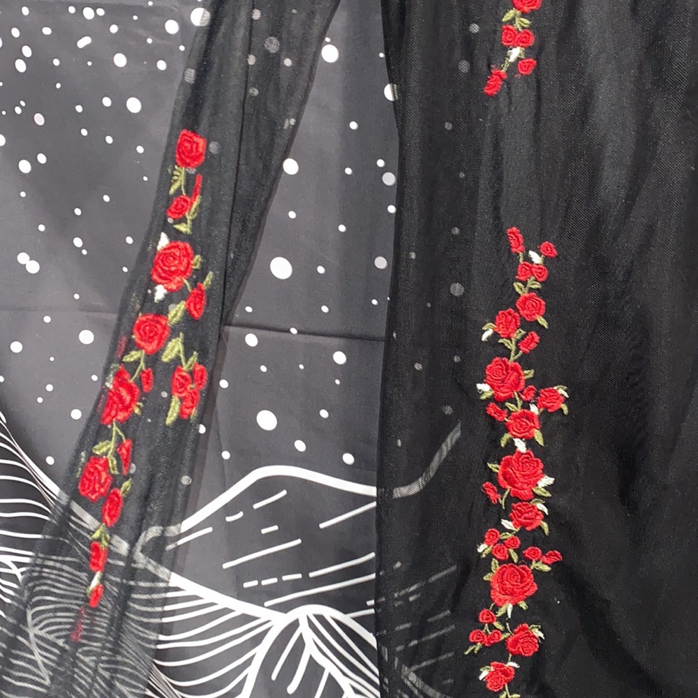 SHEER ROSE 🌹 DRESS - Picture 2 of 5